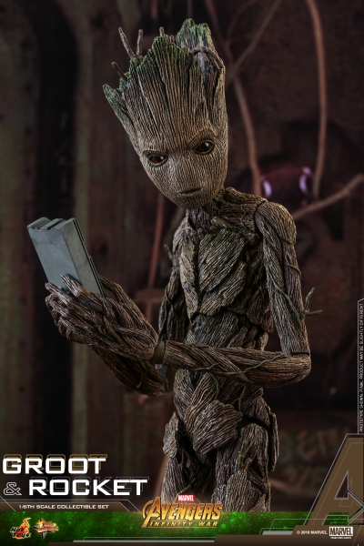 Hot Toys - AIW - Groot & Rocket collectible set_PR11