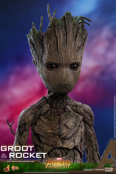 Hot Toys - AIW - Groot & Rocket collectible set_PR13