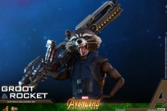 Hot Toys - AIW - Groot & Rocket collectible set_PR23