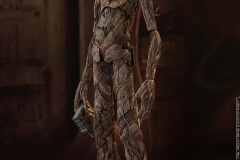 Hot Toys - AIW - Groot & Rocket collectible set_PR9