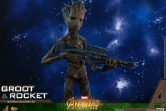 Hot Toys - AIW - Groot & Rocket collectible set_PR20