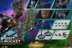 Hot Toys - AIW - Groot & Rocket collectible set_PR26
