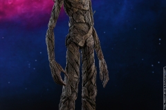 Hot Toys - AIW - Groot & Rocket collectible set_PR8